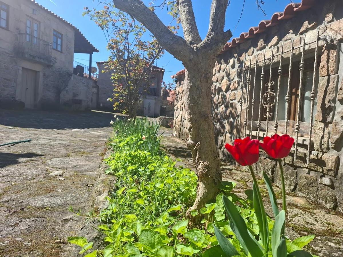 Casas Do Juizo - Country Houses المظهر الخارجي الصورة
