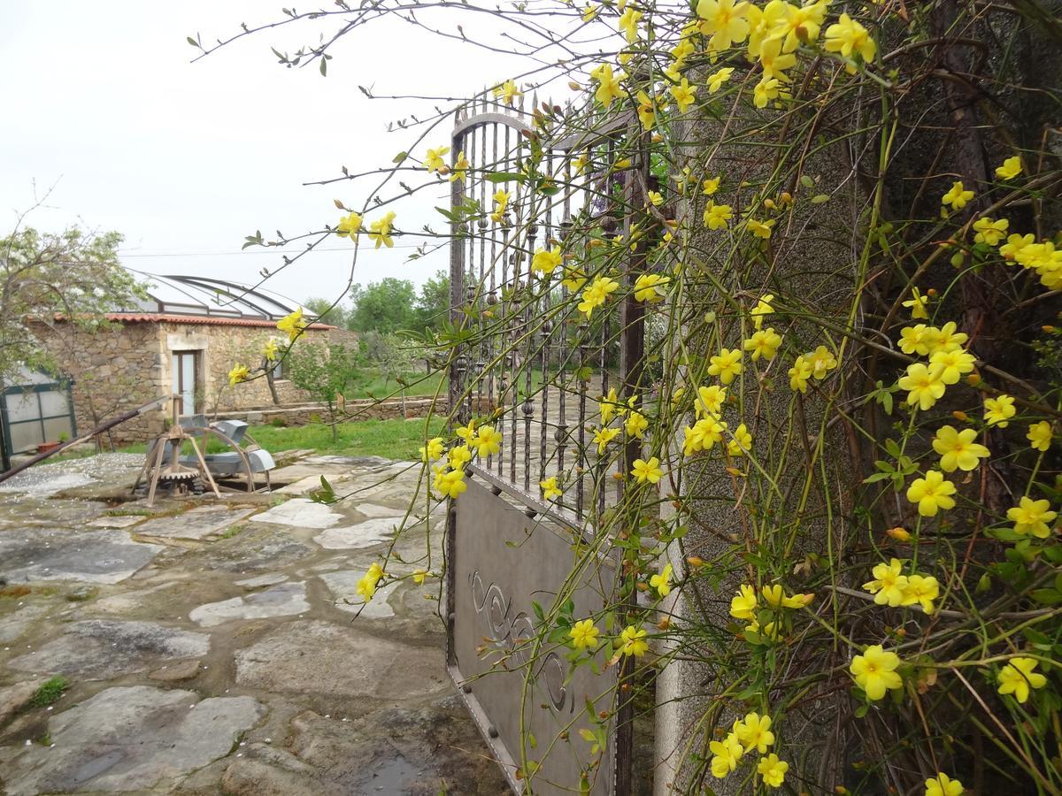 Casas Do Juizo - Country Houses المظهر الخارجي الصورة